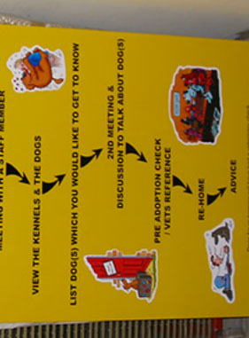 Post mounted sign explaining the process of animal re-homing